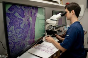 27d0af6e-3b91-4f6e-9124-8a47bb22603a