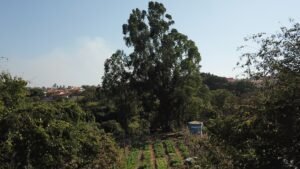 2f535966-0dd9-4923-9fb8-5ea711a90b2c