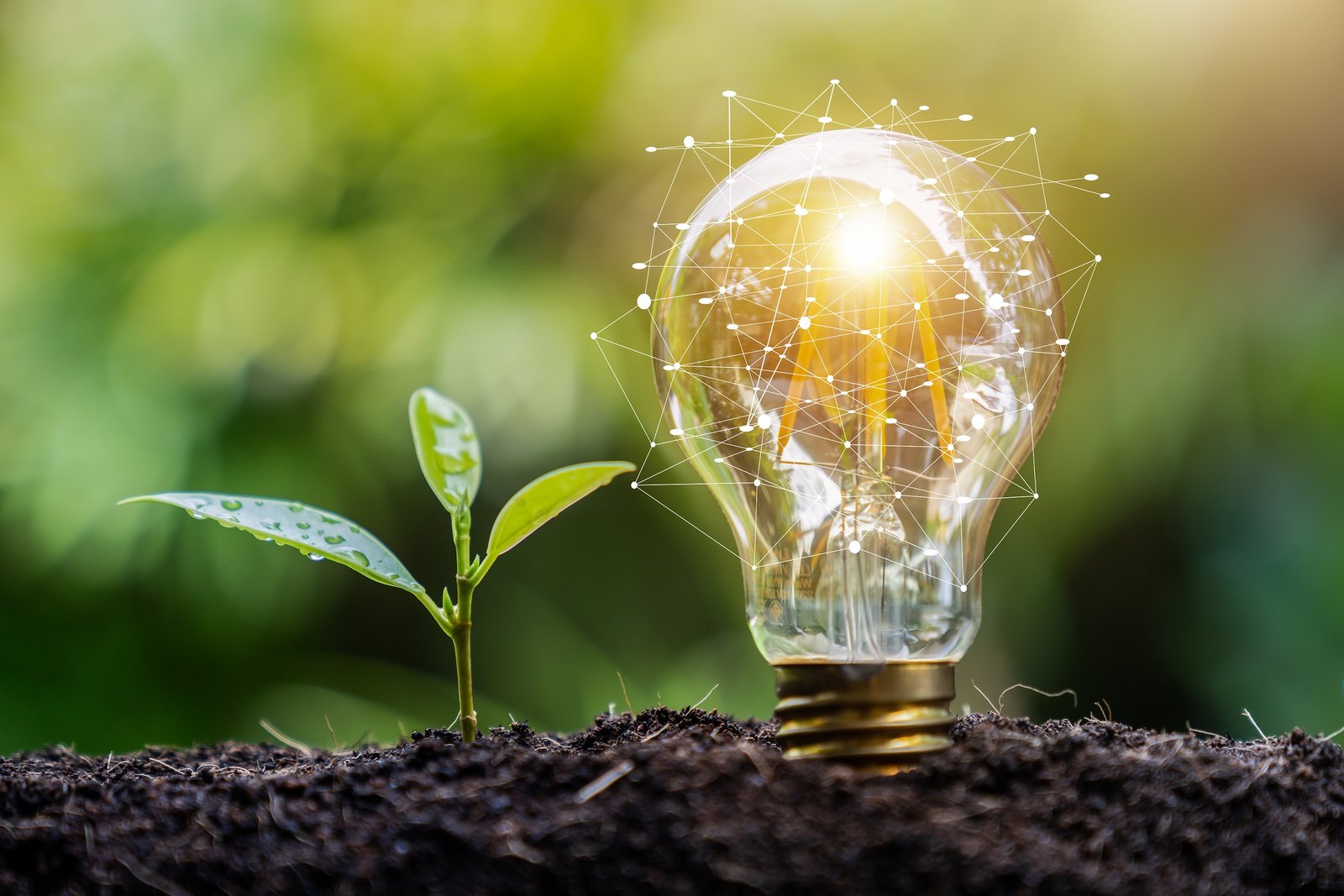 Uso de energia renovável aumenta e passa a ser utilizada para criação de remédio