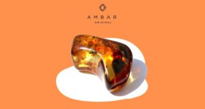 8e438d23-f981-4a80-9b26-72281f712f4a