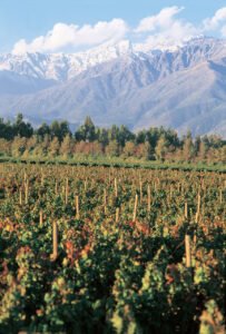 c1e7448a-66ec-4480-9ab6-72a284f02bcb