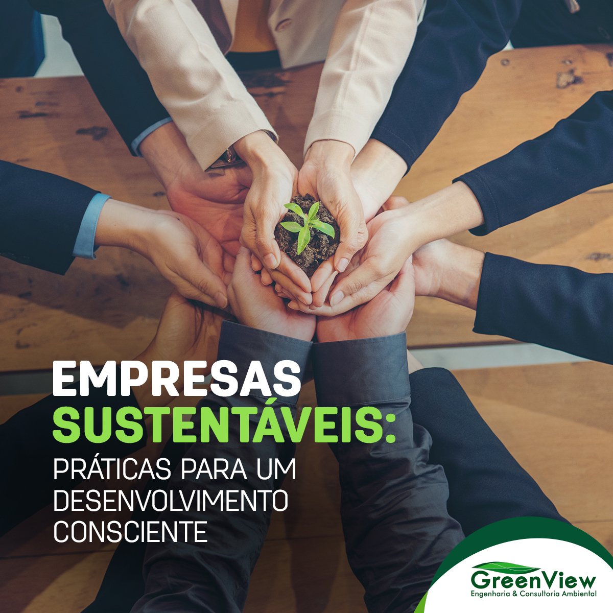 Empresas sustentáveis: práticas para um desenvolvimento consciente