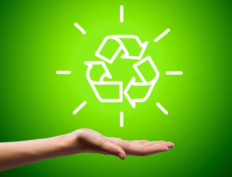 d4a06e7c-832d-4e6e-b42e-6bd9dc399d84