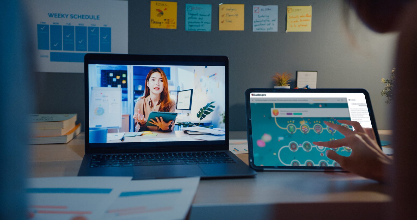 5f053b56-efe8-44f2-a2d6-2062f3d80d1c