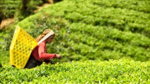 5f91b9d9-68b3-4242-91ca-2f854a0ad273