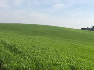 458e4c2d-3d54-45ab-8940-b19c28a940e1