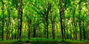 a6c7bb49-a506-4dd7-a843-62cb1053158a