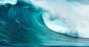 c240e483-22af-414f-bf2a-f7b3585c2d11