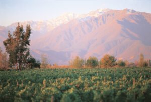 c0e6b495-7209-4caa-8e25-cdd05ac95a26