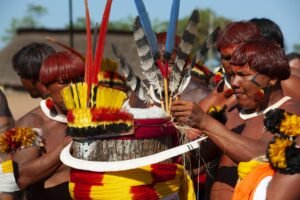 RenatoSoares_DarcyRibeiro3