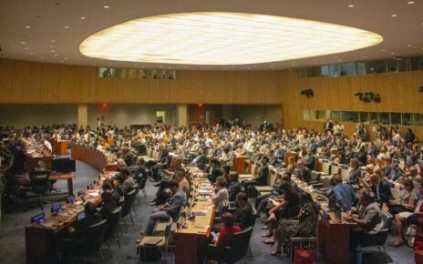 Cooperativismo: comitiva brasileira representa o país na ONU