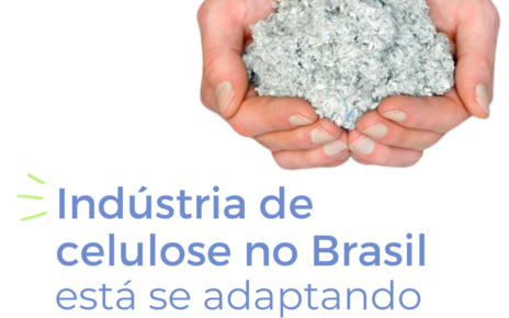 Indústria de celulose no Brasil está se adaptando aos novos cenários