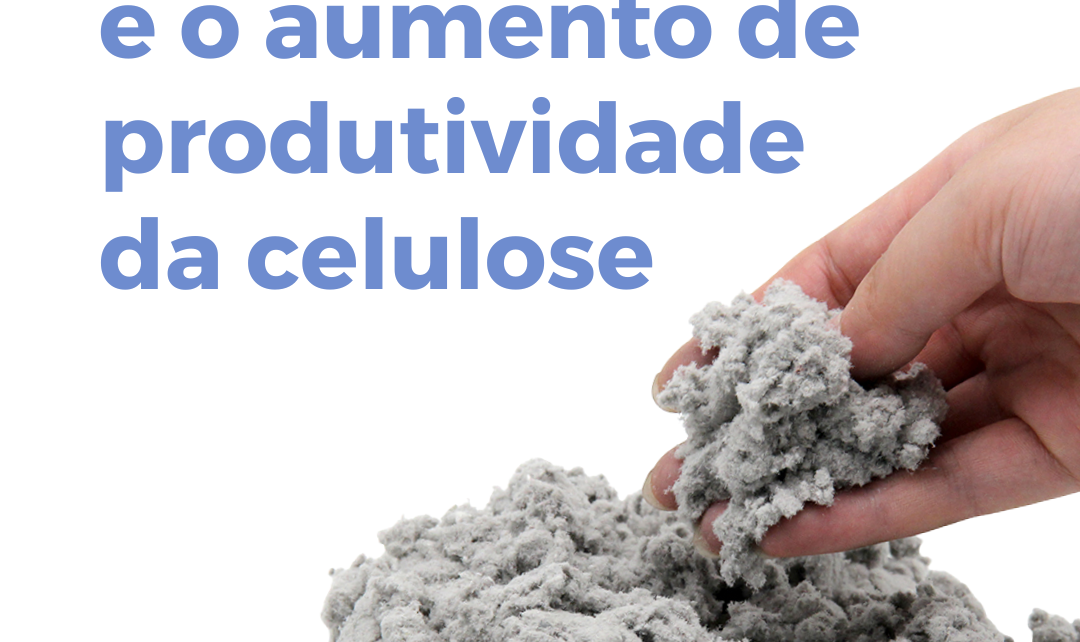 Mercado de celulose busca aumento de produtividade