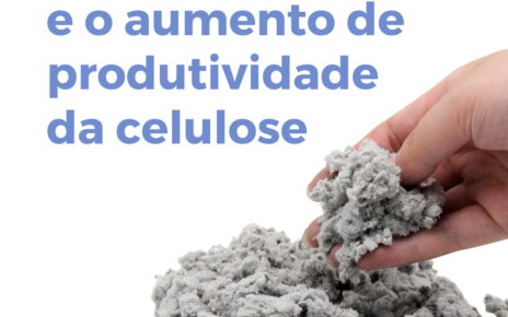 Mercado de celulose busca aumento de produtividade