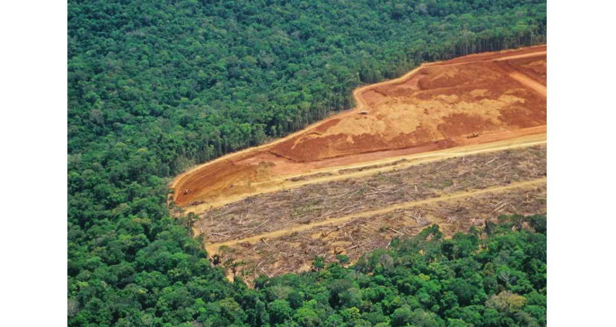 Alemanha e Noruega voltam a estabelecer compromisso com a Amazônia