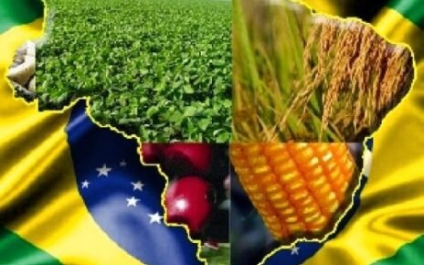 O papel do agronegócio brasileiro na agenda ESG