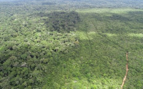 Setor produtivo articula proposta de desenvolvimento sustentável da Amazônia