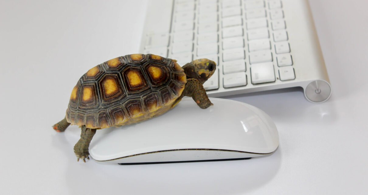 Rápido carregamento de site pode aumentar taxa de conversão