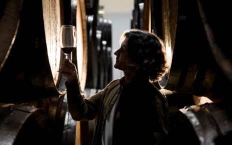 Produção nacional de vinho é movida pelo aumento do consumo