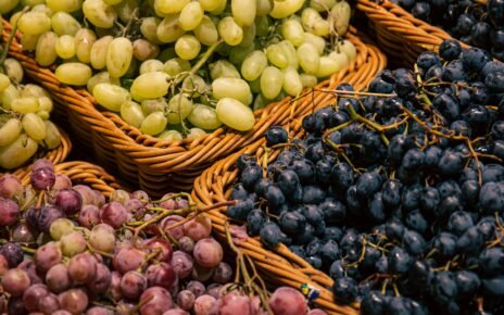 Variedade de uvas afeta sabor e aroma de vinhos