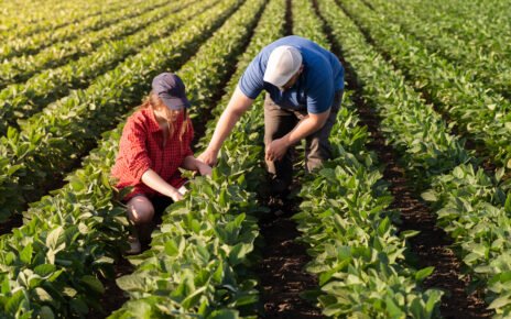 Agricultura familiar impacta produção de biodiesel