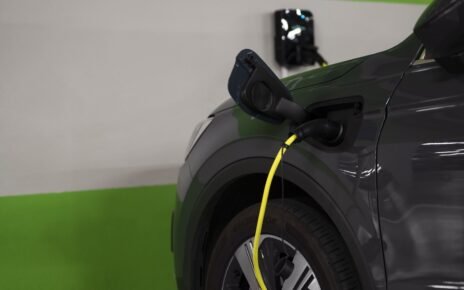 Detran-SP concede placa verde para modelos da Trelus Motors