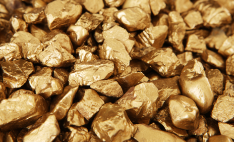 Operação da PF mira a extração ilegal de ouro