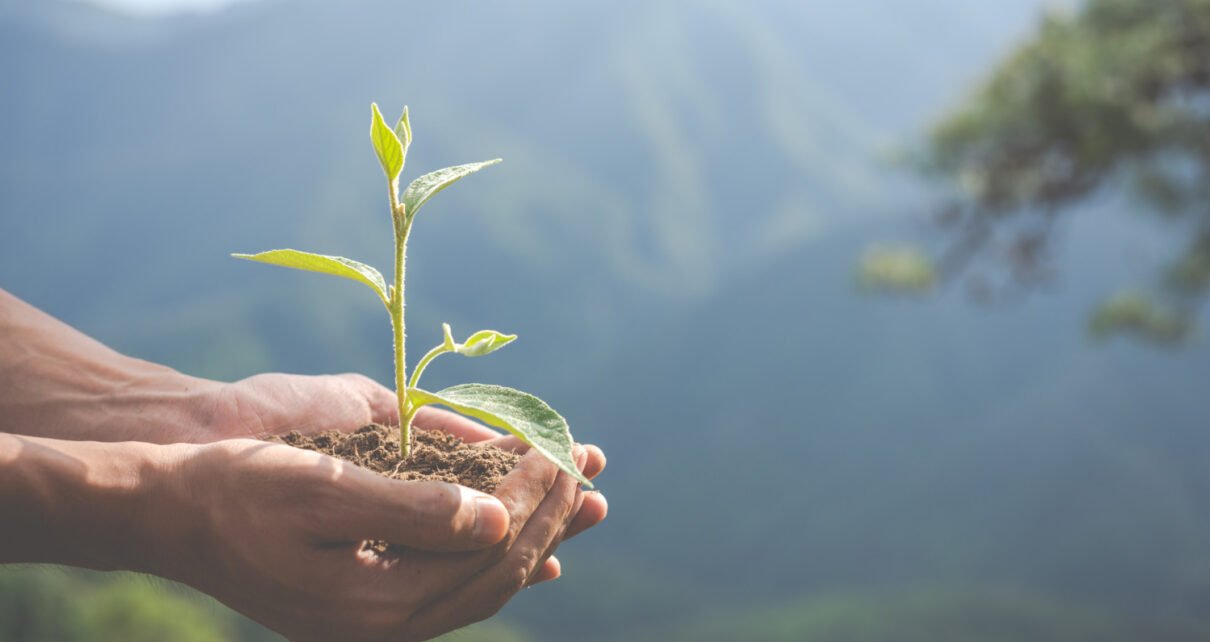 Mercado e consumidores levam empresas a adotar ações de ESG