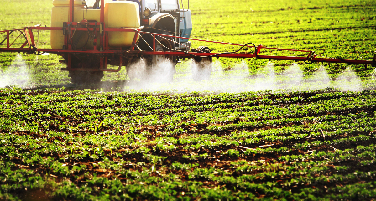 Publicação aponta uso de pesticidas em alimentos infantis