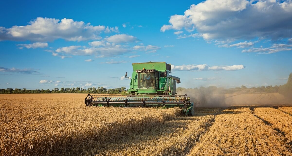 Puxado pelo agronegócio, PIB de Mato Grosso cresce 1.116,2%