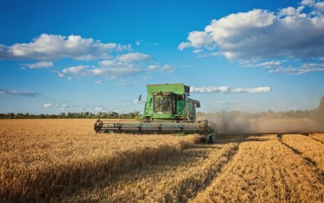 Puxado pelo agronegócio, PIB de Mato Grosso cresce 1.116,2%