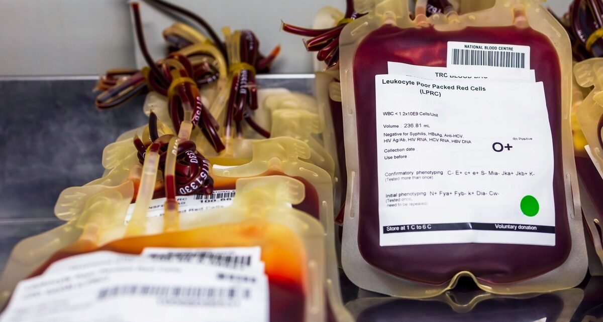 Brasil descarta doações de sangue por falhas de conservação e contaminação