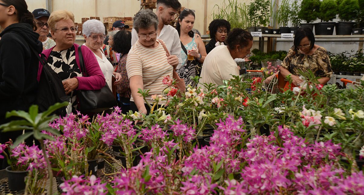 Festa de Flores e Morangos atrai 80 mil visitantes