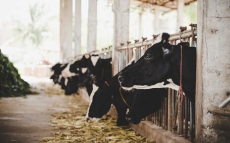 Escovas especiais oferecem higiene e eficiência à agropecuária