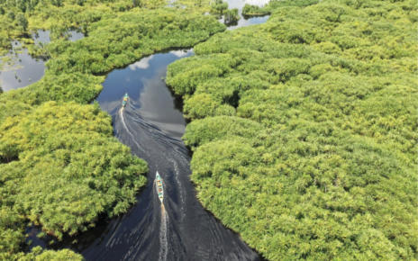 Belterra, na Amazônia, quer ser a "Machu Picchu brasileira"