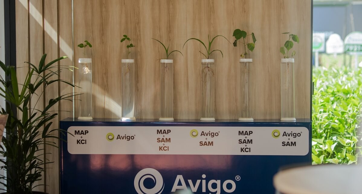 Dinetec: EuroChem leva soluções estratégicas para evento