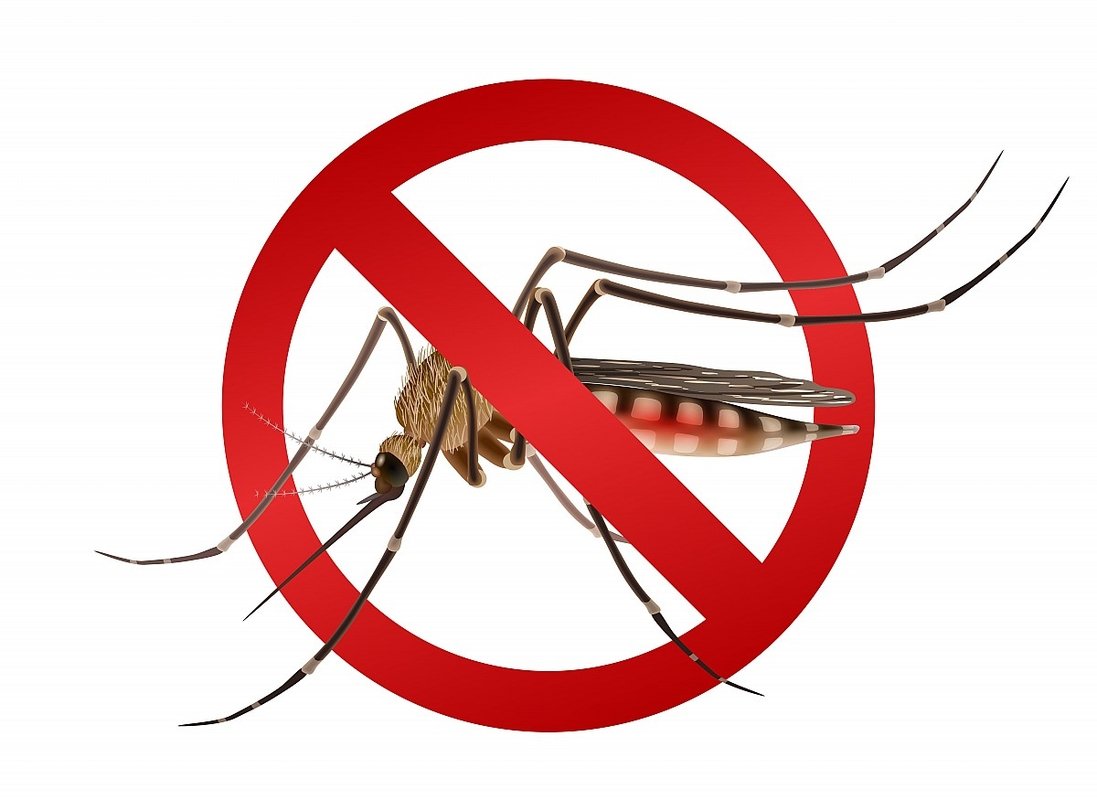 Ministério da Saúde reforça combate à dengue em São Paulo