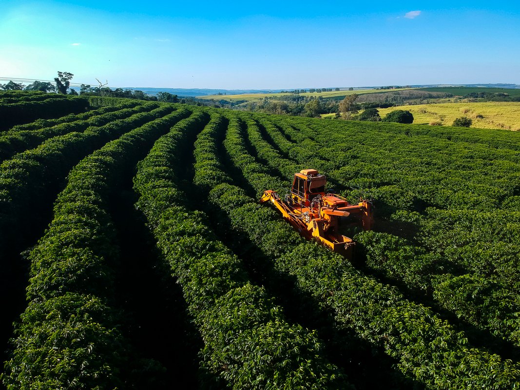Tarifas de Trump abrem chance ao agro brasileiro