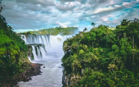 Mercado de crédito de carbono acelera no Brasil