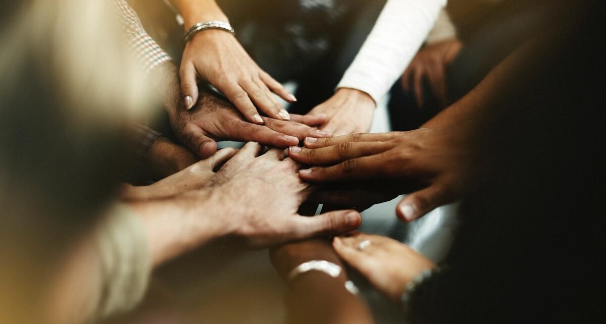 Pesquisa aponta crescimento no número de OSCs no Brasil