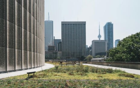 IBRI: programa TOP está com inscrições abertas até 30 de maio de 2025