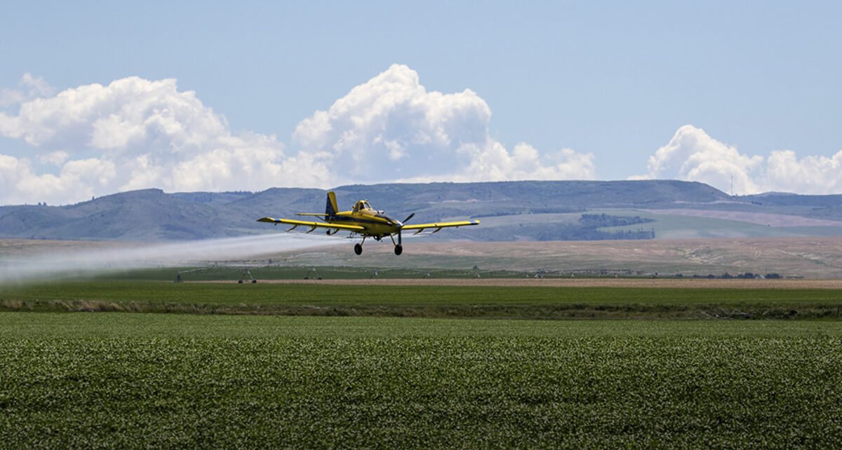 Empresa participa da Bahia Farm Show 2025