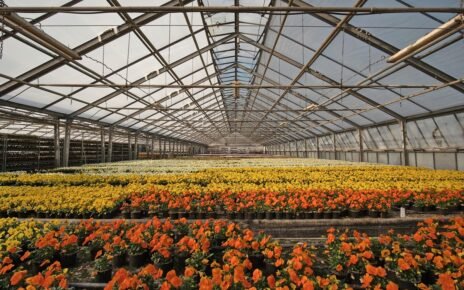 Giuliana Flores é a marca mais lembrada do setor pelos brasileiros, diz pesquisa