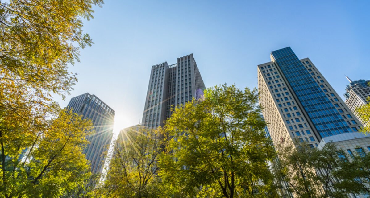 Grant Thornton orienta sobre adaptação ao IFRS S1 e S2