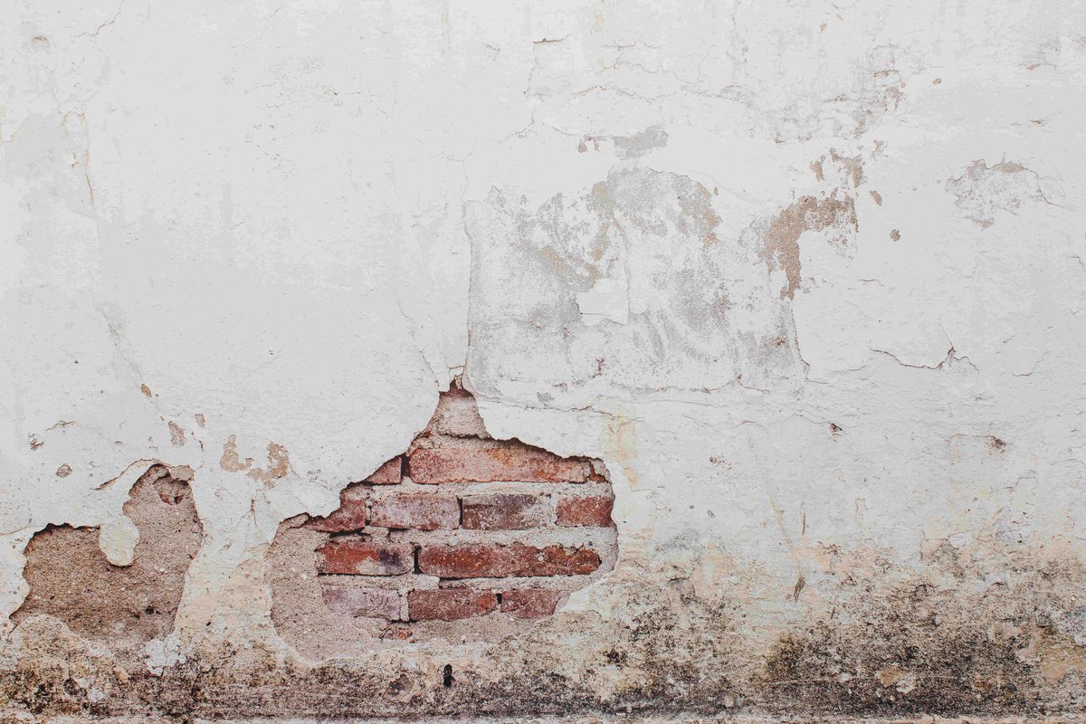 Patologias nas edificações comprometem saúde, segurança e vida útil dos imóveis