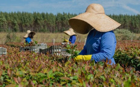 Eucatex integra lista de líderes globais em sustentabilidade
