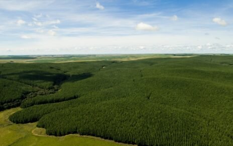 Guararapes apresenta relatório de sustentabilidade