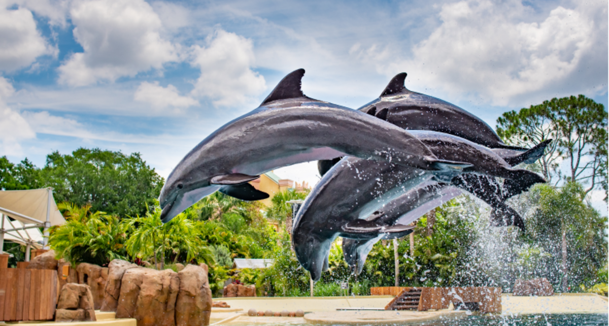 Brasileiros compram mais ingressos para parques na Flórida