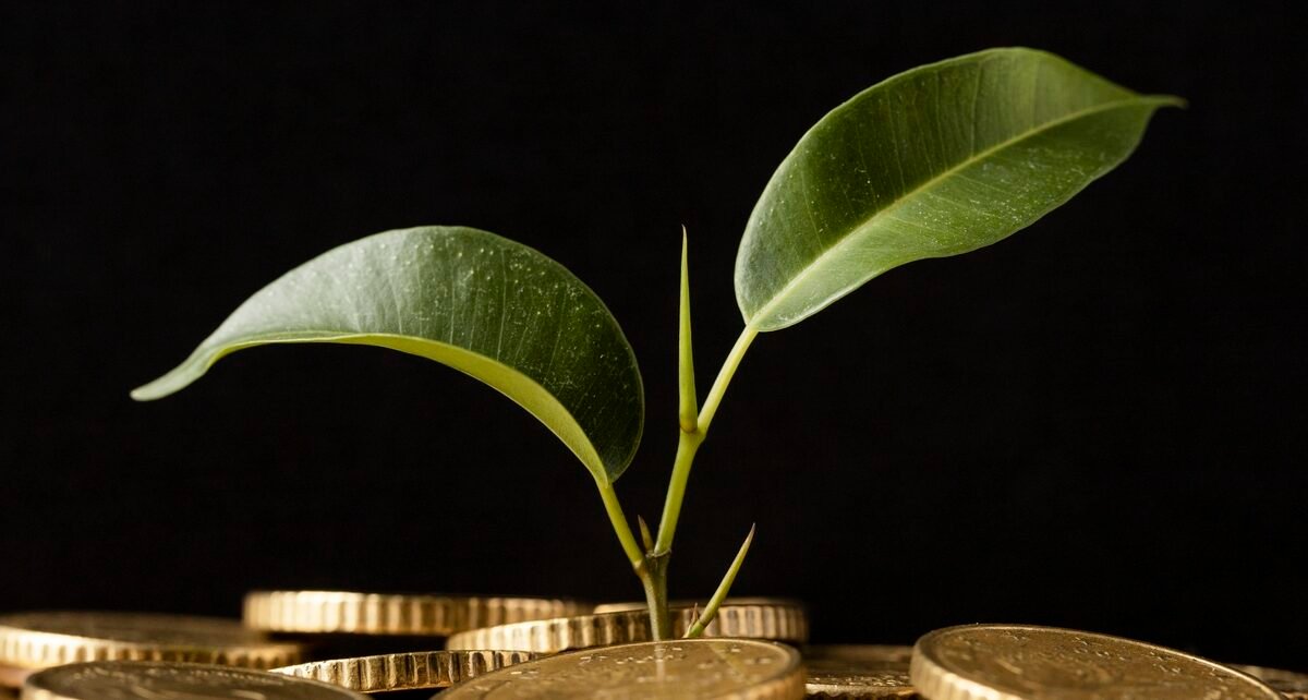 Créditos de carbono poderão quitar impostos no agronegócio