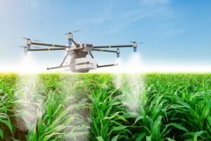 Tecnologia impulsiona sustentabilidade no agronegócio brasileiro